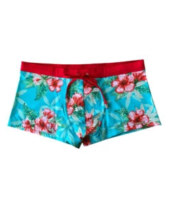 Wasserstoff: Pant Fidschi 46347