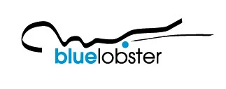 Blue Lobster: Folie Türkis Triangel/Slip – Bild 3