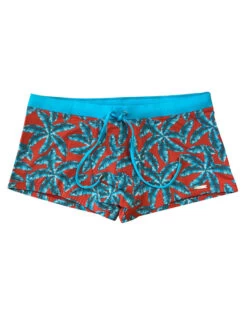 Wasserstoff: Pants Hawaii Cianico 46355