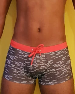 Wasserstoff: Pant Fish Grey 46338